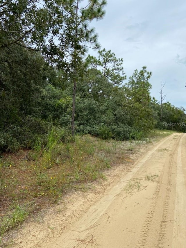 318 S Crestview Ave, Inverness FL, 34452 land for sale