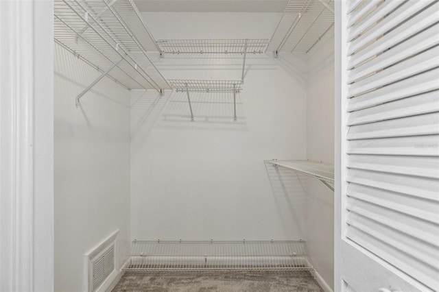 spacious closet with carpet floors