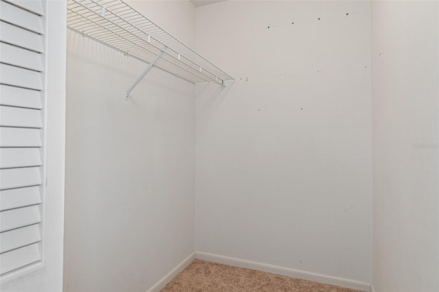 walk in closet with carpet