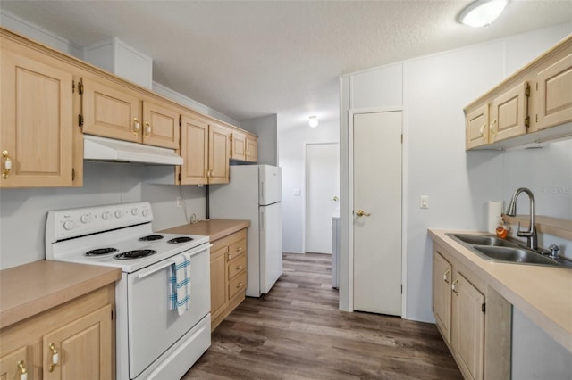 14904 Old Dixie Hwy, Hudson, FL 34667 - kitchen with under cabinet range hood, a sink, light brown cabinetry, and white appliances