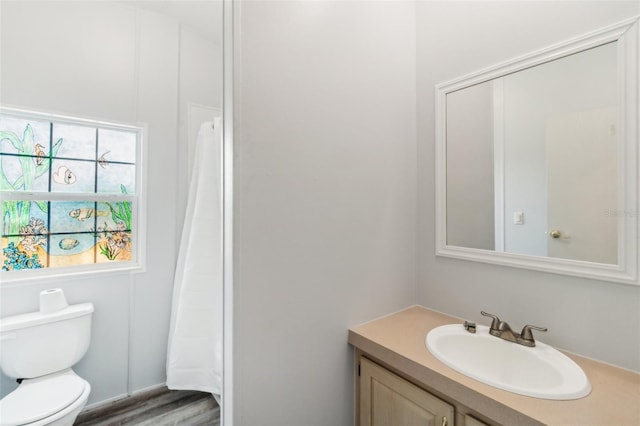 14904 Old Dixie Hwy, Hudson, FL 34667 - full bath with wood finished floors, toilet, and vanity