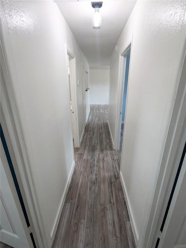 corridor featuring dark hardwood / wood-style flooring