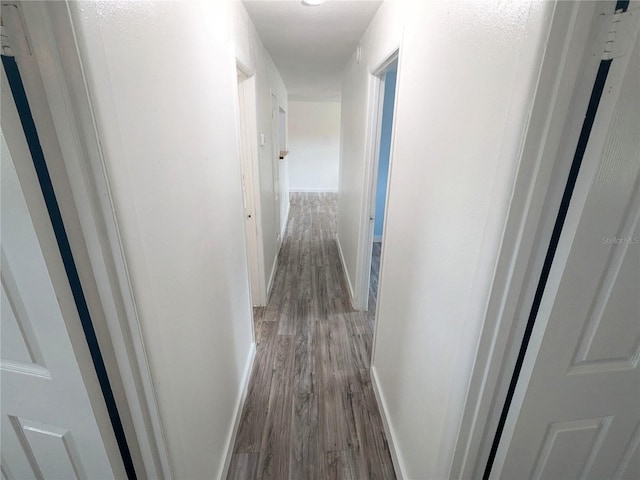 hall with hardwood / wood-style floors