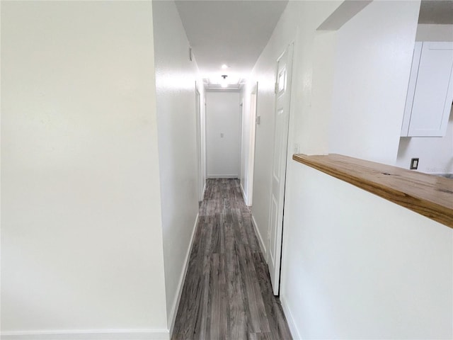 corridor with dark wood-type flooring