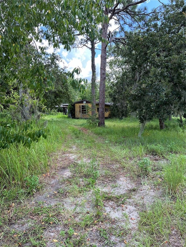 view of yard featuring an outdoor structure