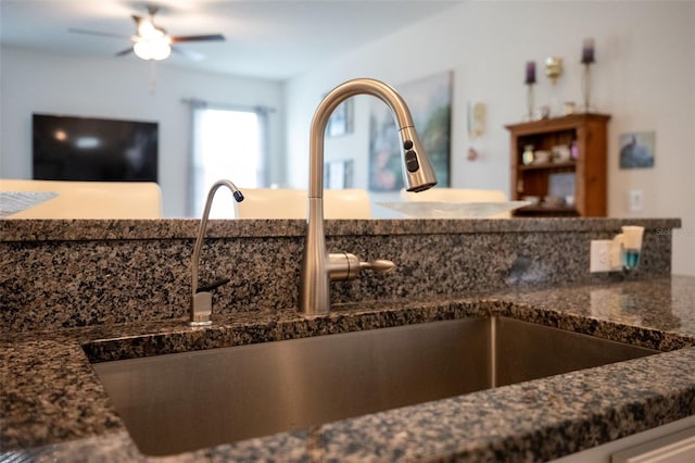 room details with ceiling fan and sink