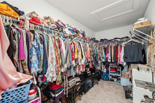 spacious closet featuring carpet