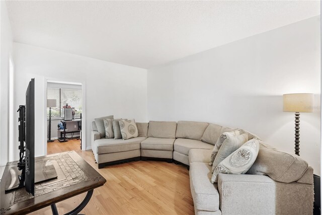 living room with light hardwood / wood-style floors