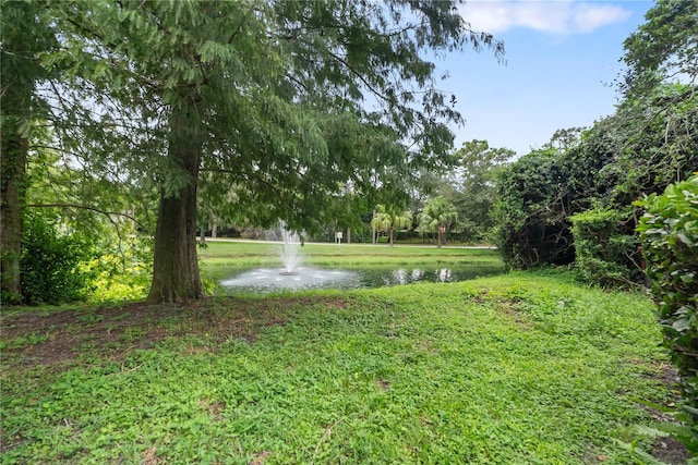 view of yard with a water view