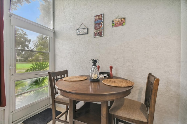 dining room with a healthy amount of sunlight