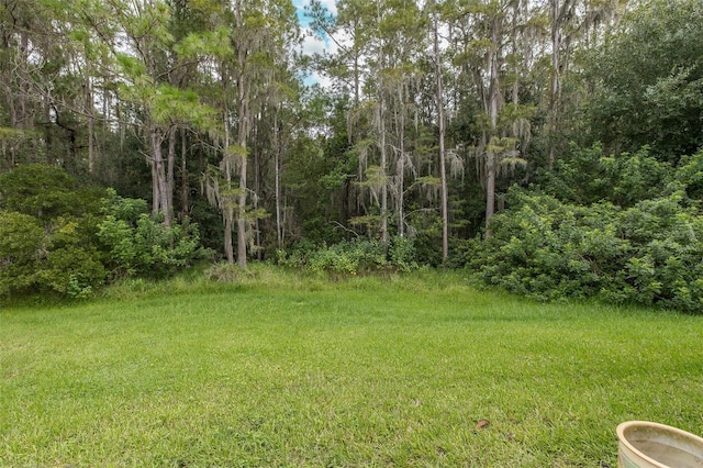 view of yard featuring a wooded view