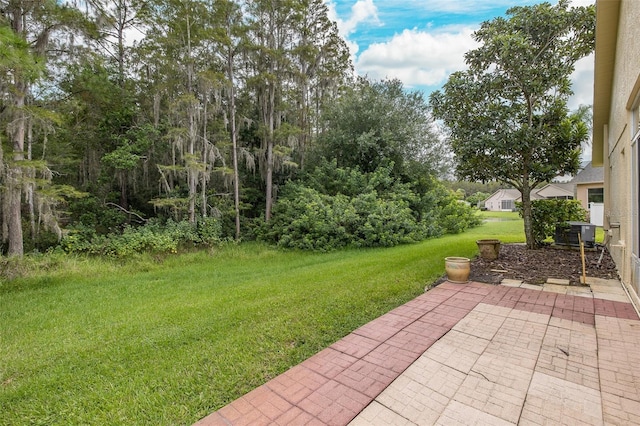 view of yard featuring a patio