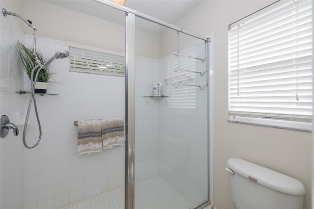 bathroom with a healthy amount of sunlight, toilet, and a shower with shower door