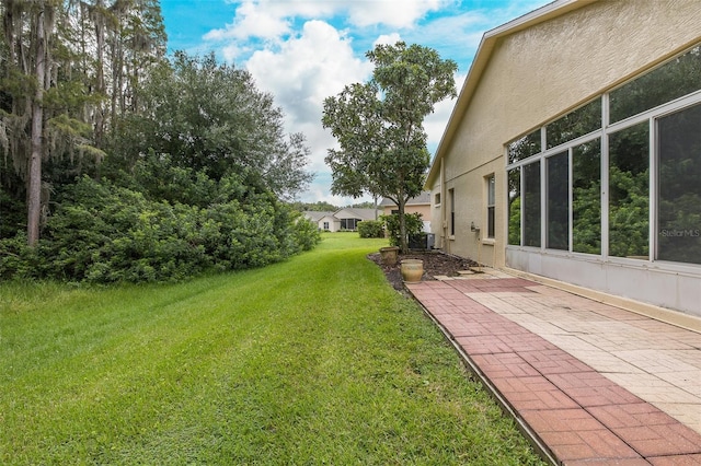 view of yard featuring a patio