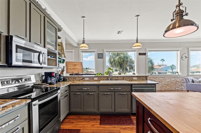 kitchen with dark hardwood / wood-style flooring, appliances with stainless steel finishes, hanging light fixtures, and sink