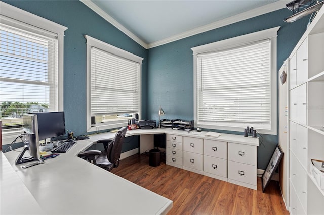 office space featuring dark hardwood / wood-style floors and ornamental molding