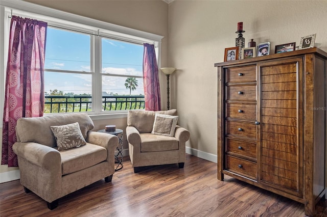 living room featuring hardwood / wood-style floors