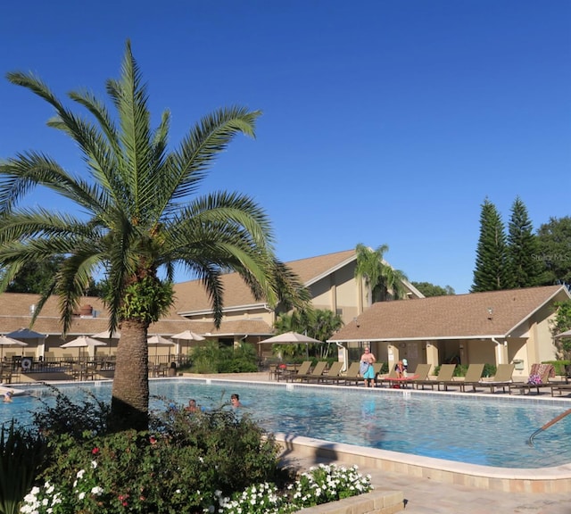 view of swimming pool featuring a patio area