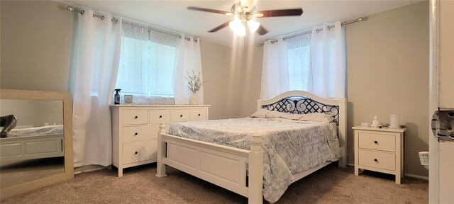 3814 Holiday Lake Dr, Holiday, FL 34691 - photo 19