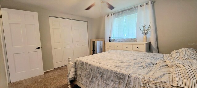 3814 Holiday Lake Dr, Holiday, FL 34691 - photo 20