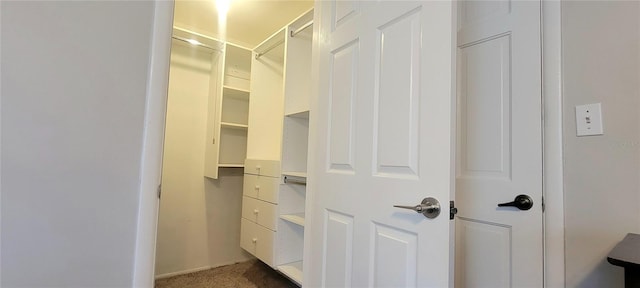 view of walk in closet