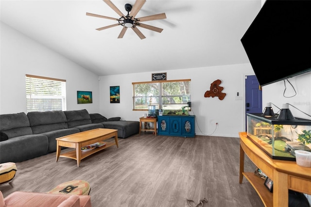 living room featuring hardwood / wood-style floors, ceiling fan, plenty of natural light, and vaulted ceiling