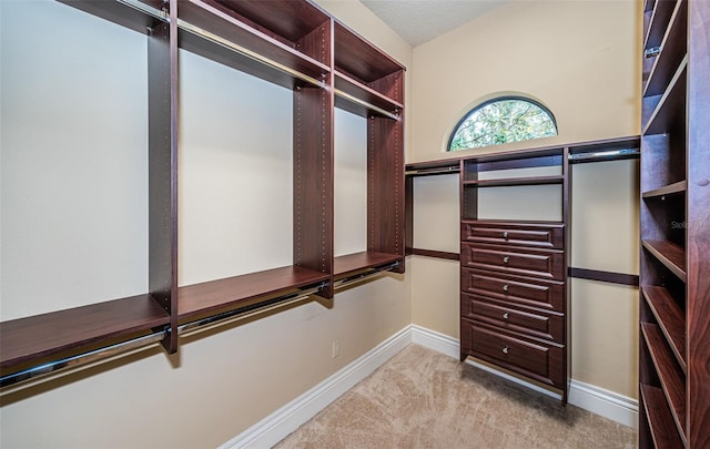 spacious closet with light carpet