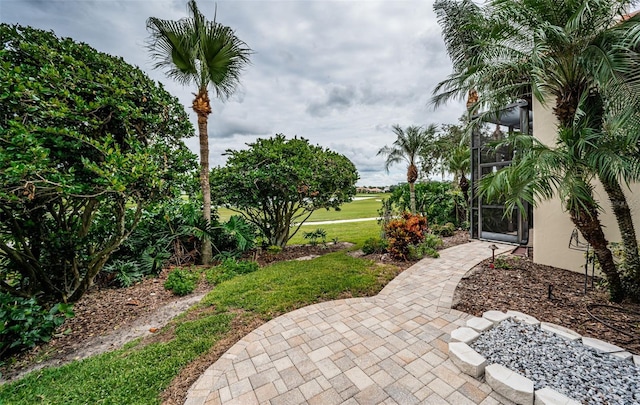 view of yard with a patio area