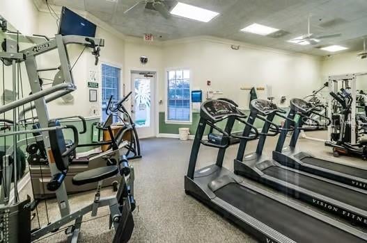 gym featuring crown molding and ceiling fan