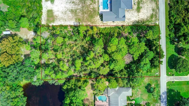 6067 Patricia Pl, Weeki Wachee FL, 34607 land for sale