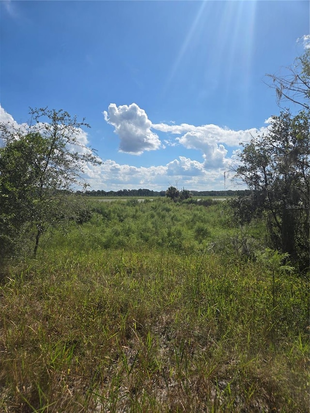 TBD SW Shorewood Dr N, Dunnellon FL, 34431 land for sale