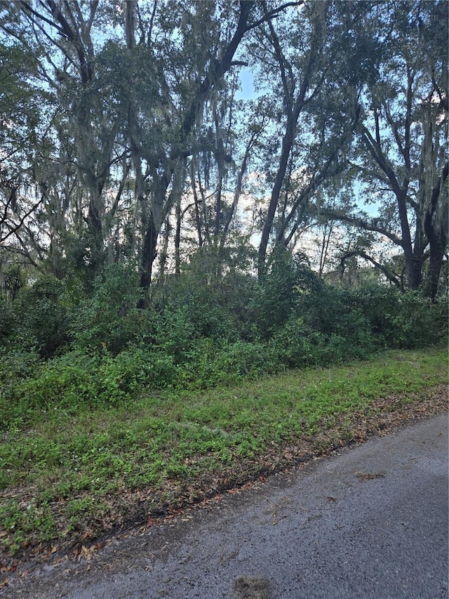 Listing photo 2 for TBD SW Shorewood Dr N, Dunnellon FL 34431