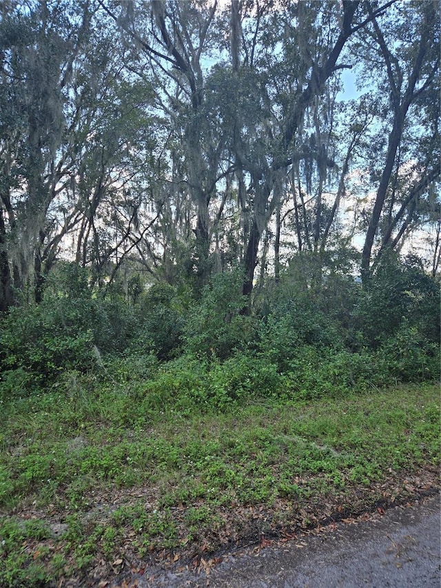 Listing photo 3 for TBD SW Shorewood Dr N, Dunnellon FL 34431