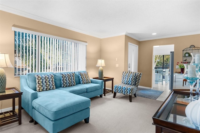 living room featuring a textured ceiling, light carpet, and crown molding