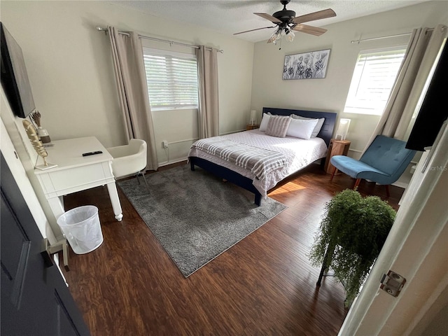 bedroom with multiple windows and dark hardwood / wood-style flooring