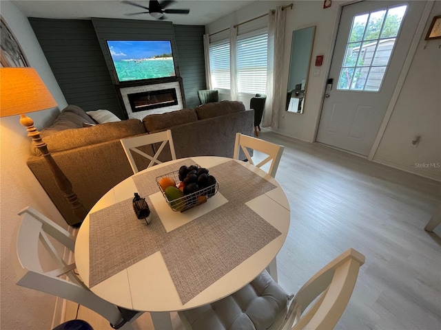 dining room featuring ceiling fan and light hardwood / wood-style flooring