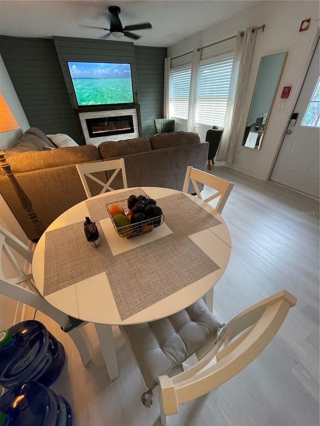 dining space with ceiling fan and light wood-type flooring