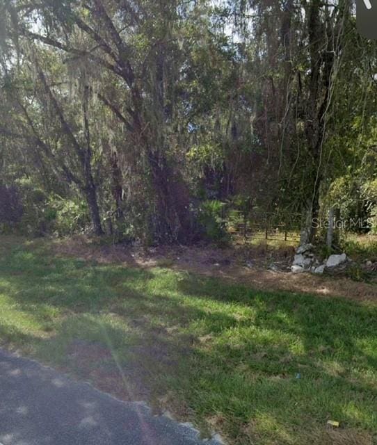 Listing photo 2 for 9001 Treiman Blvd, Webster FL 33597