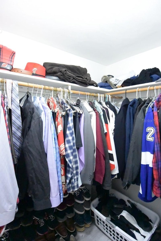 view of spacious closet