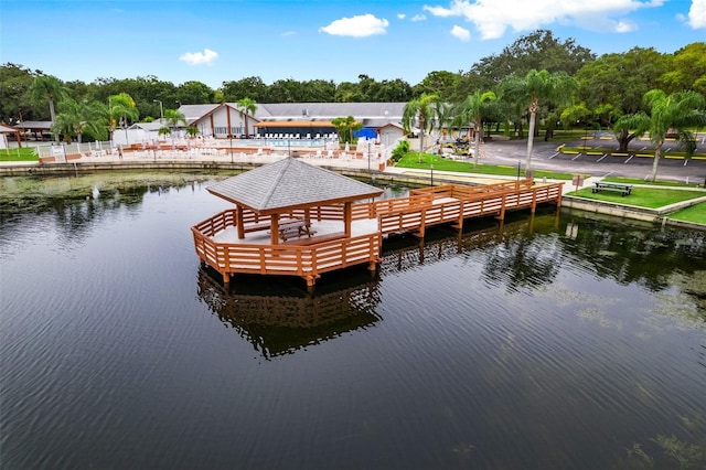 dock area with a water view