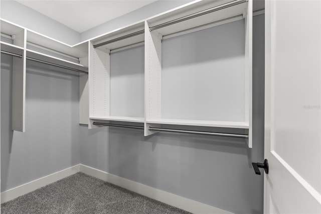 walk in closet with carpet