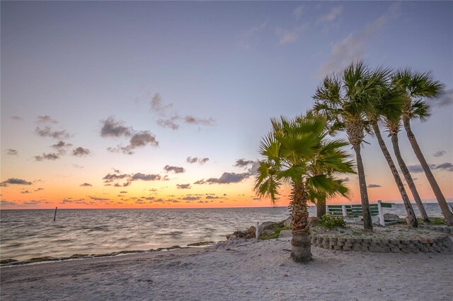 water view featuring a beach view