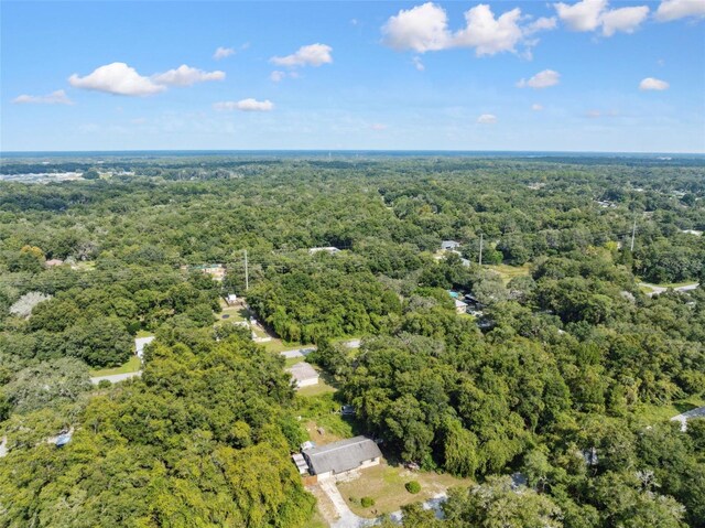 365 S Snapp Ave, Inverness, FL 34453 - drone / aerial view featuring a view of trees