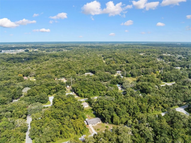 365 S Snapp Ave, Inverness, FL 34453 - drone / aerial view with a forest view
