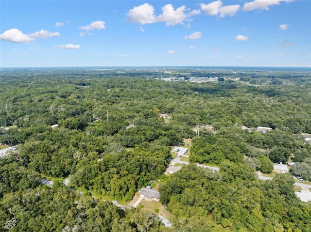 365 S Snapp Ave, Inverness, FL 34453 - birds eye view of property featuring a wooded view