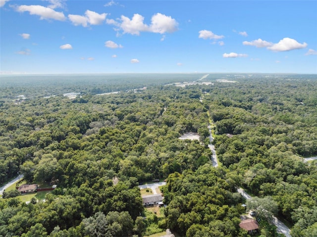 365 S Snapp Ave, Inverness, FL 34453 - birds eye view of property with a wooded view