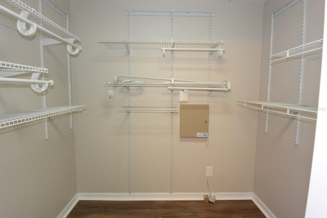 spacious closet featuring hardwood / wood-style floors