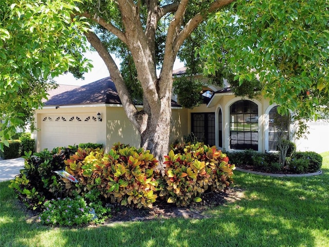 view of front facade featuring a front lawn and a garage