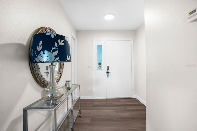 foyer featuring dark wood-type flooring