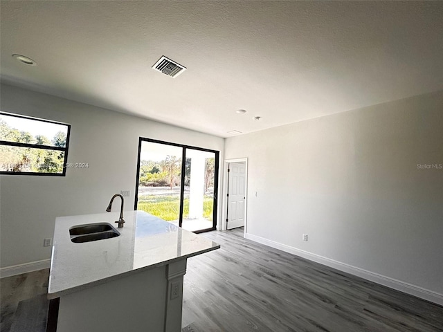 kitchen featuring sink, dark hardwood / wood-style flooring, and a wealth of natural light